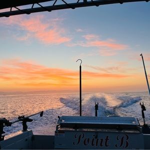 Meet your Posher, Annabelle